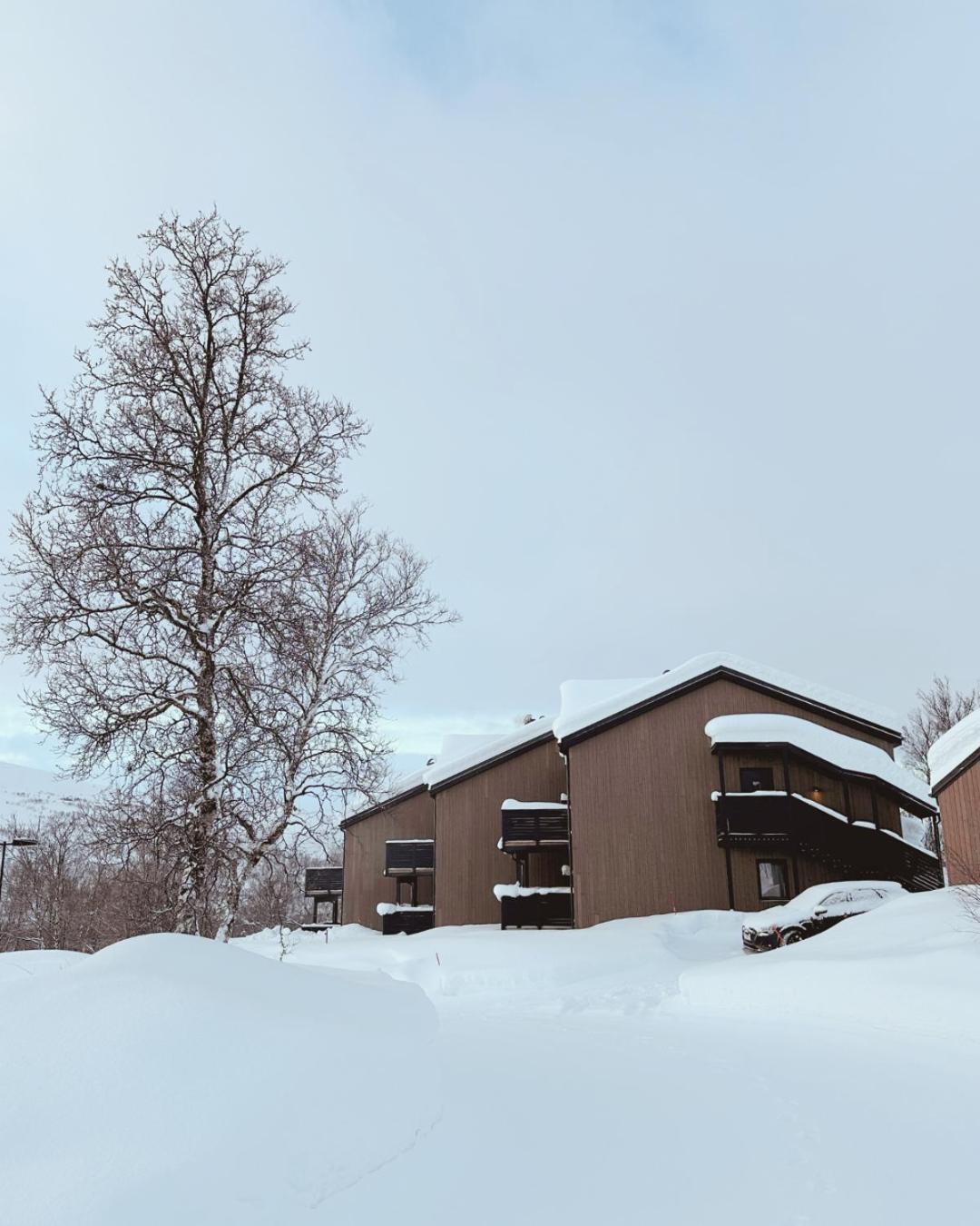 Skaidi Luxury Lodge - Heart Of The Arctic Hammerfest Exteriör bild
