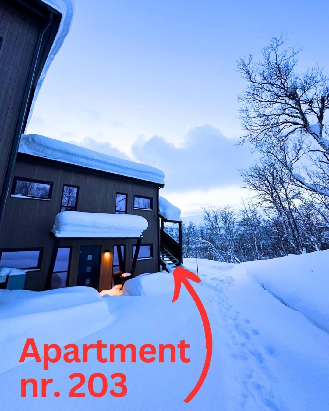 Skaidi Luxury Lodge - Heart Of The Arctic Hammerfest Exteriör bild